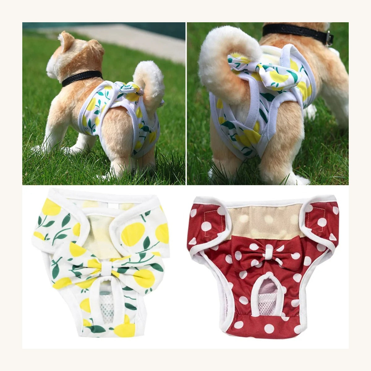 Reusable dog nappy with tail opening — My Petsworth
