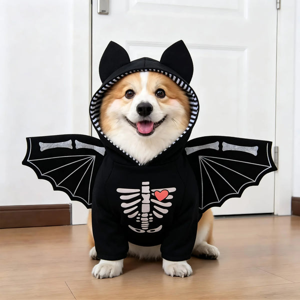 Corgi wearing a black bat hoodie with skeleton print and attached wings — My Petsworth