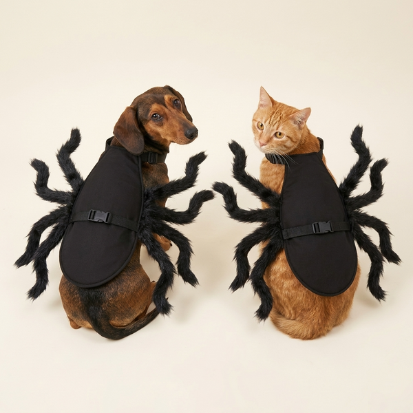 Black plush spider costume for dogs and cats with eight furry legs — My Petsworth