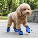 Blue waterproof anti-slip rain boots for small dogs & cats, lifestyle photo