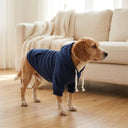 Navy warm winter dog hoodie for small & medium breeds, lifestyle photo