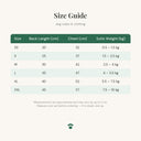 Size guide for the warm winter dog hoodie showing chest and back length in centimetres for each size