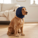 Navy noise-reduction calming ear muffs for dogs, lifestyle photo