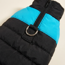 Black/Blue padded winter dog coat with waterproof shell and d-ring, detail photo