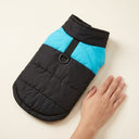Black/Blue padded winter dog coat with waterproof shell and d-ring, scale photo