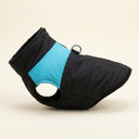 Black/Blue padded winter dog coat with waterproof shell and d-ring, studio photo