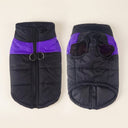 Black/Purple padded winter dog coat with waterproof shell and D-ring, studio photo