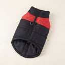 Black/Red padded winter dog coat with waterproof shell and D-ring, studio photo