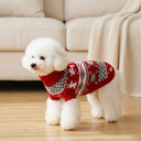 knitted christmas jumper for dogs & cats, lifestyle photo