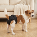 Black washable dog nappies for female dogs, lifestyle photo