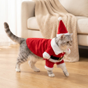 santa claus christmas costume for dogs & cats, lifestyle photo
