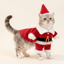 santa claus christmas costume for dogs & cats, studio photo