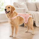 Pink Fish adjustable dog sanitary pants for female dogs in heat, lifestyle photo