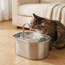 Automatic water fountain for cats & dogs, lifestyle photo