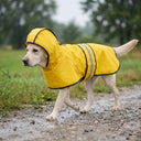 Yellow waterproof dog raincoat with hood for small to large dogs, lifestyle photo