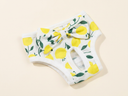 Lemon Print reusable washable sanitary pants for female dogs, studio photo