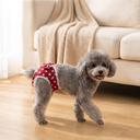 Red Polka Dot reusable washable sanitary pants for female dogs, lifestyle photo
