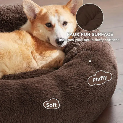Dog curled up in round plush bed - My Petsworth