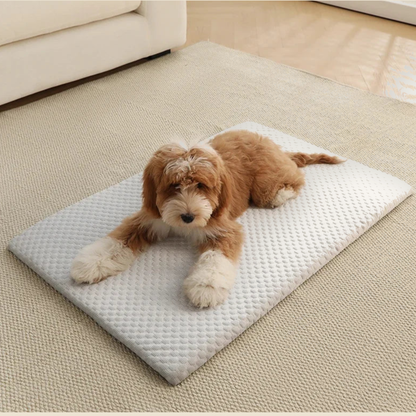 Puppy resting on light grey ice silk cooling mat in living room — My Petsworth