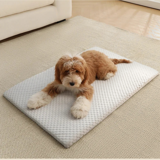 Puppy resting on light grey ice silk cooling mat in living room — My Petsworth