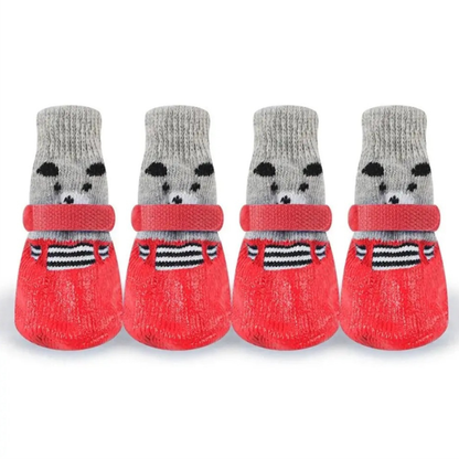 Red waterproof dog socks, set of four — My Petsworth