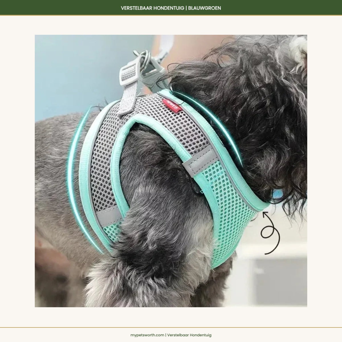 Dog wearing the teal adjustable harness — My Petsworth
