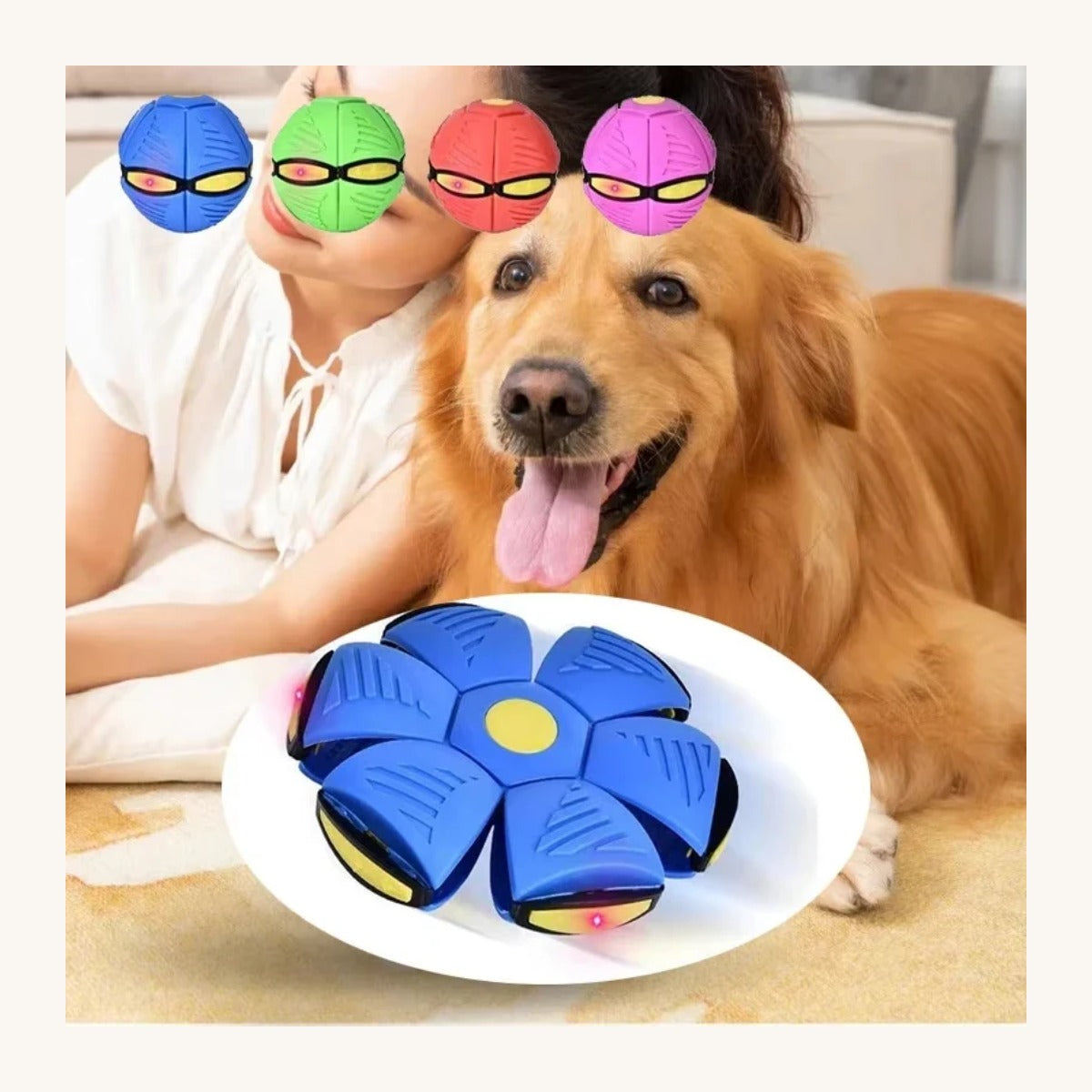 Dog catching the flexible flying disc outdoors — My Petsworth
