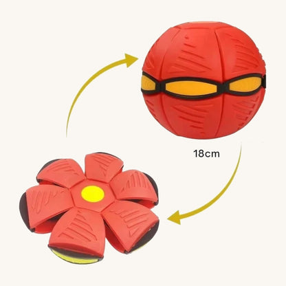 Soft-edged dog frisbee, underside view — My Petsworth