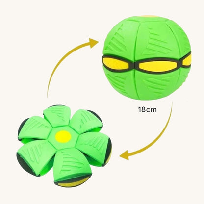 Dog frisbee colour options, 15 cm to 22 cm — My Petsworth