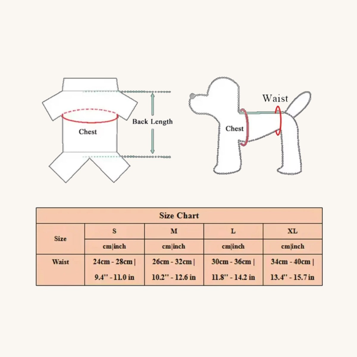 Reusable dog nappy showing the adjustable fastening — My Petsworth