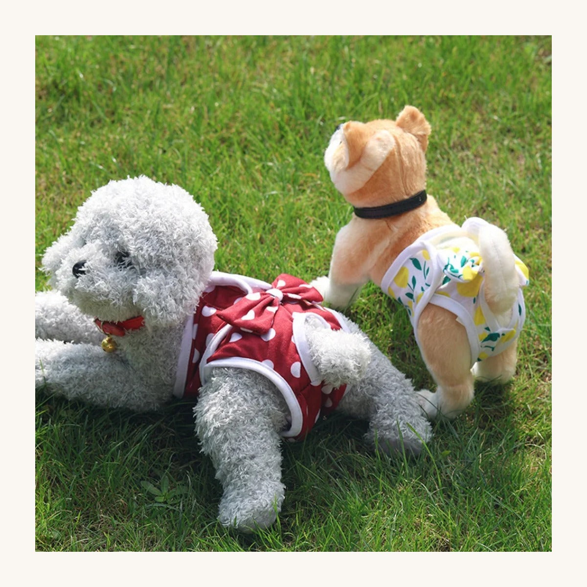 Reusable dog nappy in use — My Petsworth