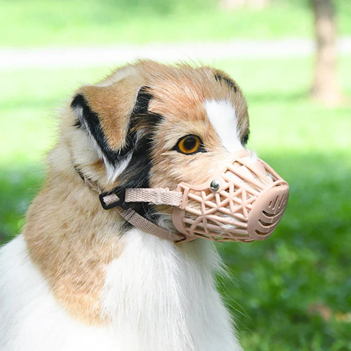 Dog wearing the breathable mesh muzzle outdoors — My Petsworth