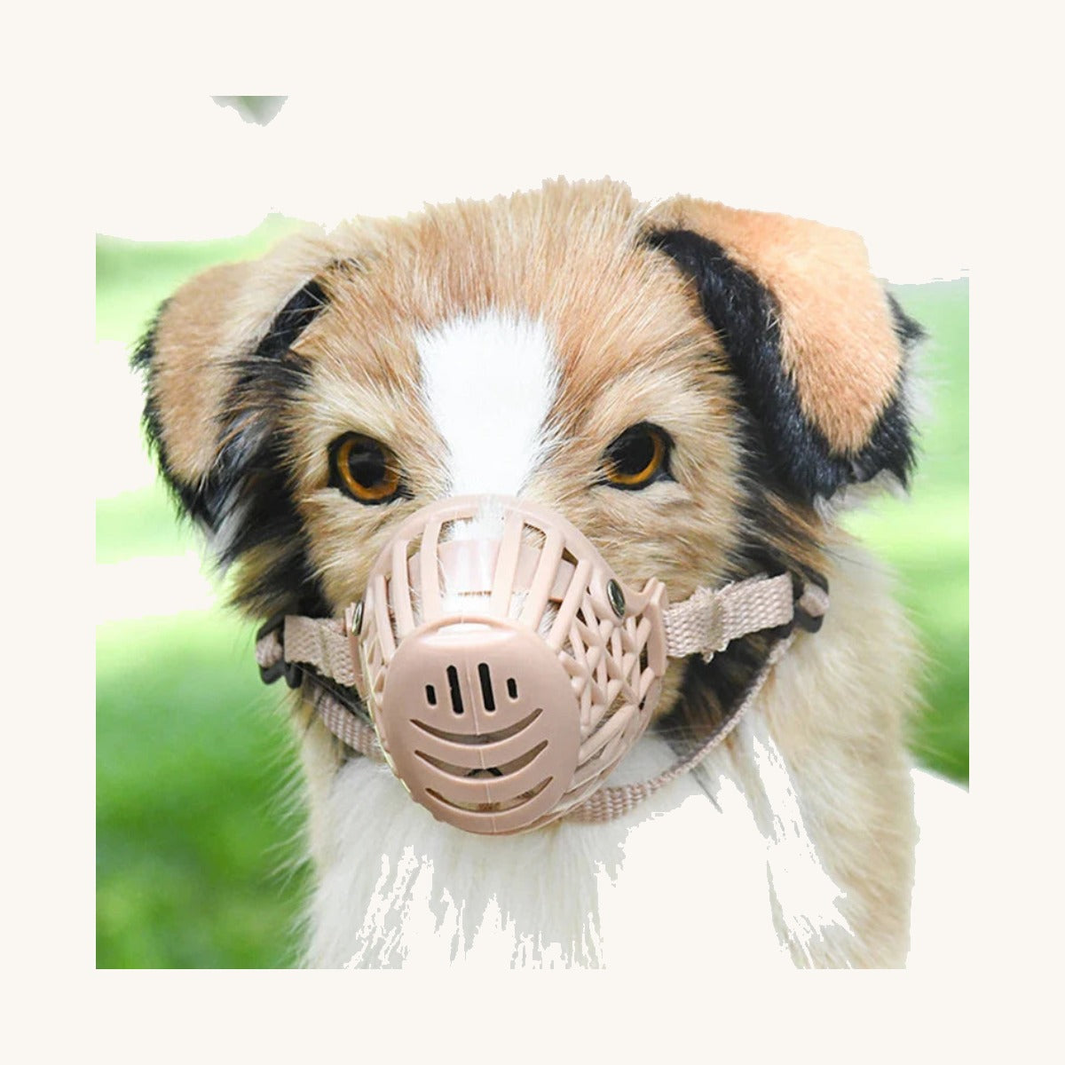 Mesh dog muzzle in use — My Petsworth