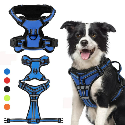 Adjustable Reflective Dog Harness Vest hero lifestyle view