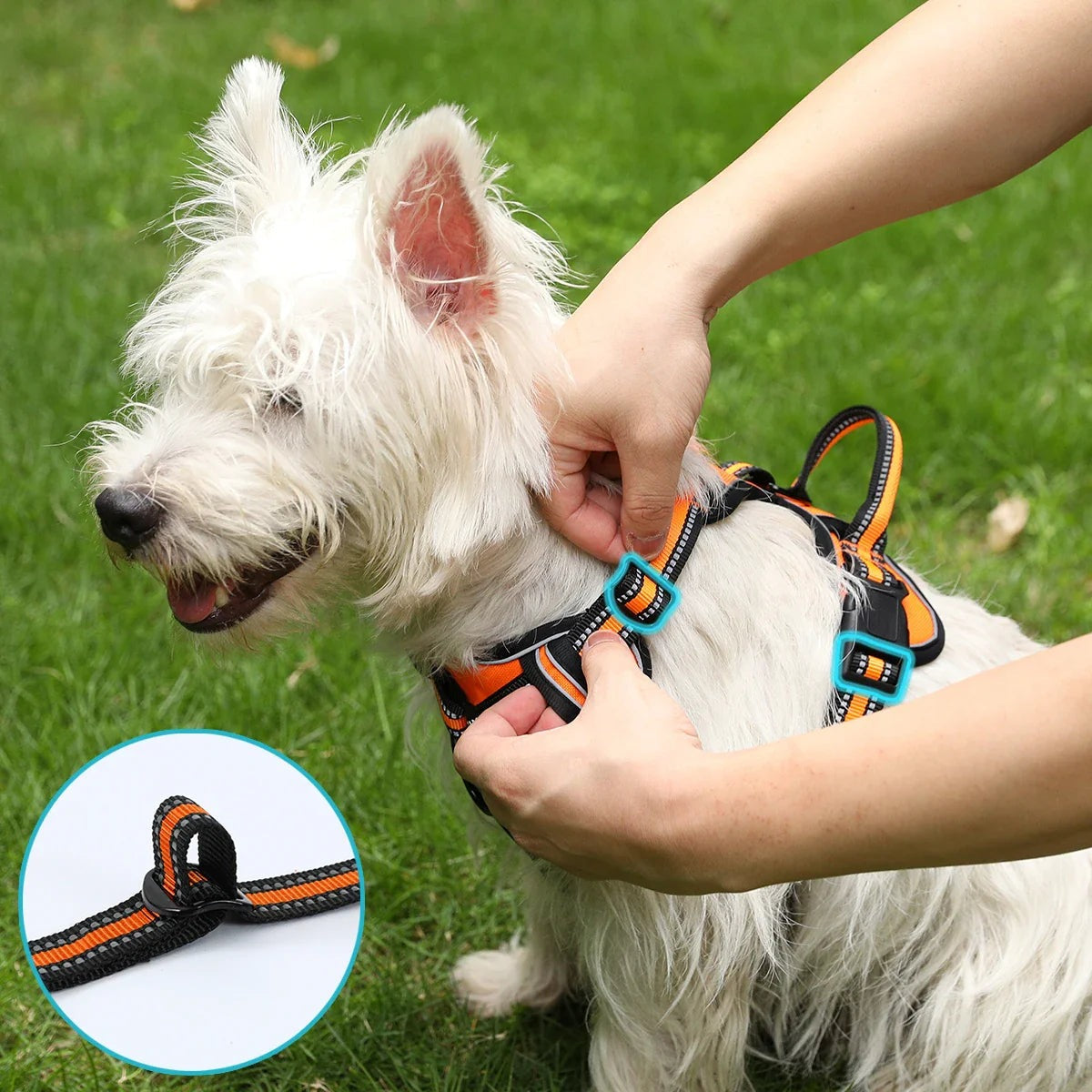 Reflective Dog Harness Vest side angle lifestyle view