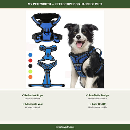 Reflective dog harness vest features and size guide — My Petsworth