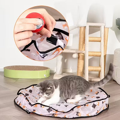 Cat playing with the self-moving interactive ball — My Petsworth