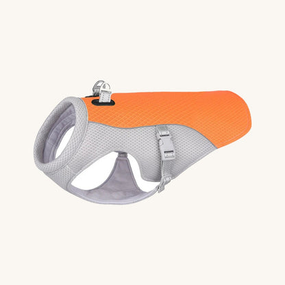 Dog wearing the reflective cooling vest outdoors — My Petsworth