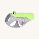 Dog wearing the cooling vest on a walk — My Petsworth