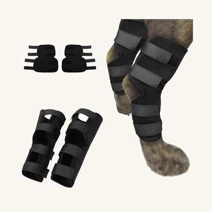 Neoprene dog hock wrap on a cream background — My Petsworth