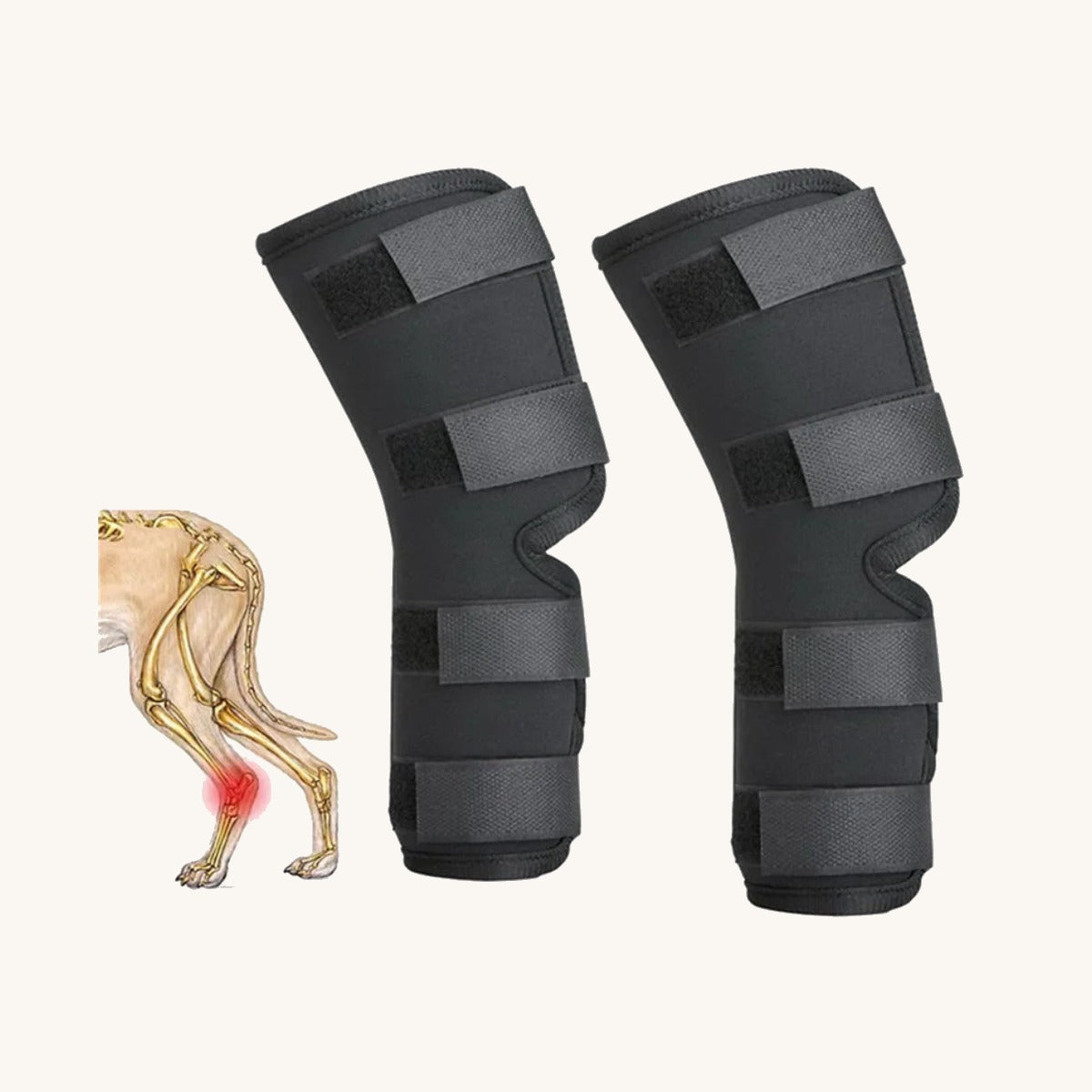Pair of neoprene dog hock wraps — My Petsworth