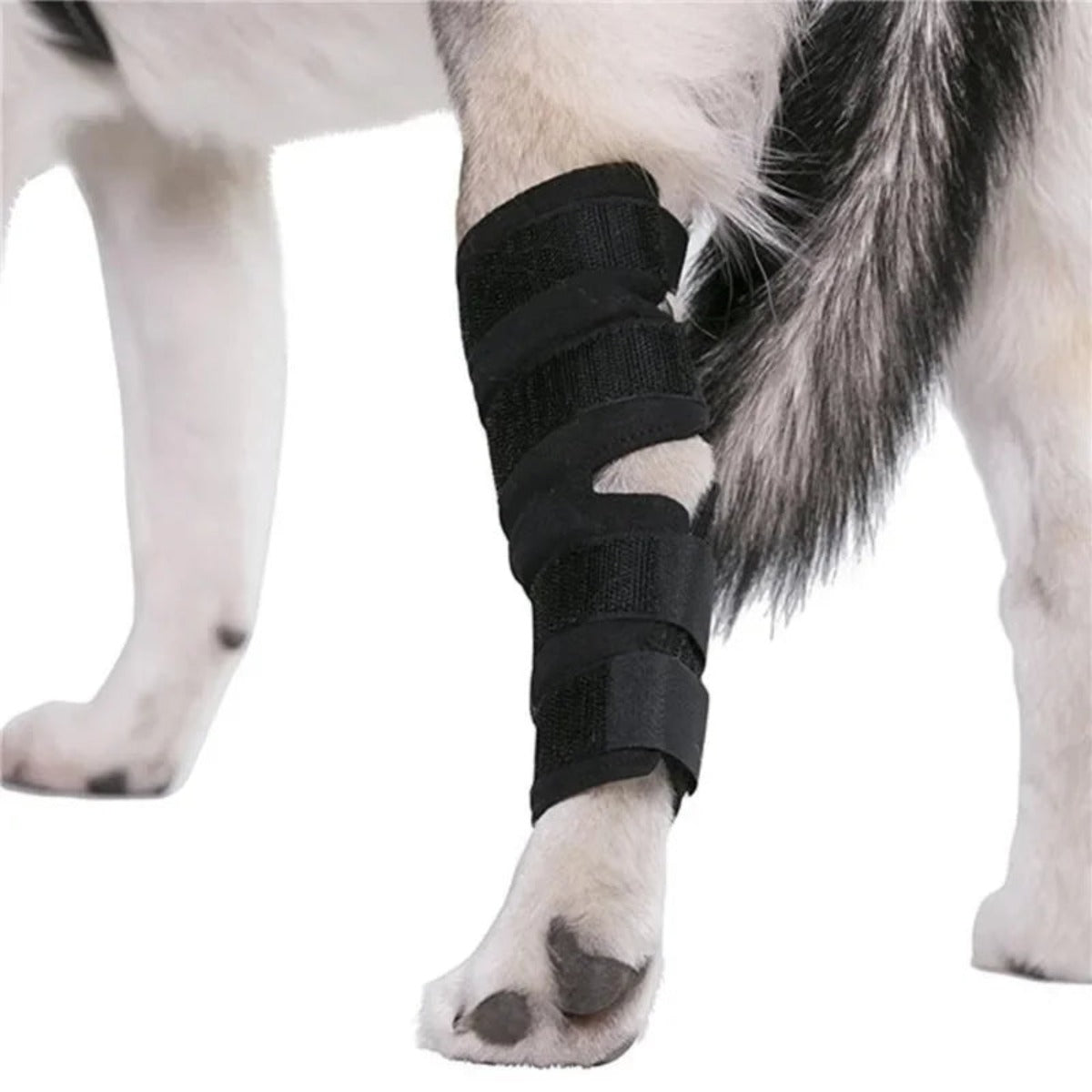 Dog hock wrap showing the hook-and-loop fastening — My Petsworth
