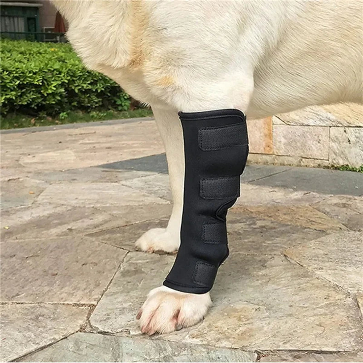 Dog hock wrap material detail — My Petsworth