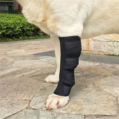 Dog hock wrap material detail — My Petsworth