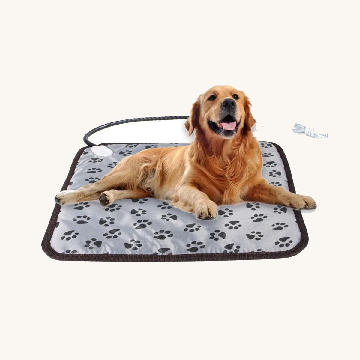 Heated pet pad with waterproof cover — My Petsworth