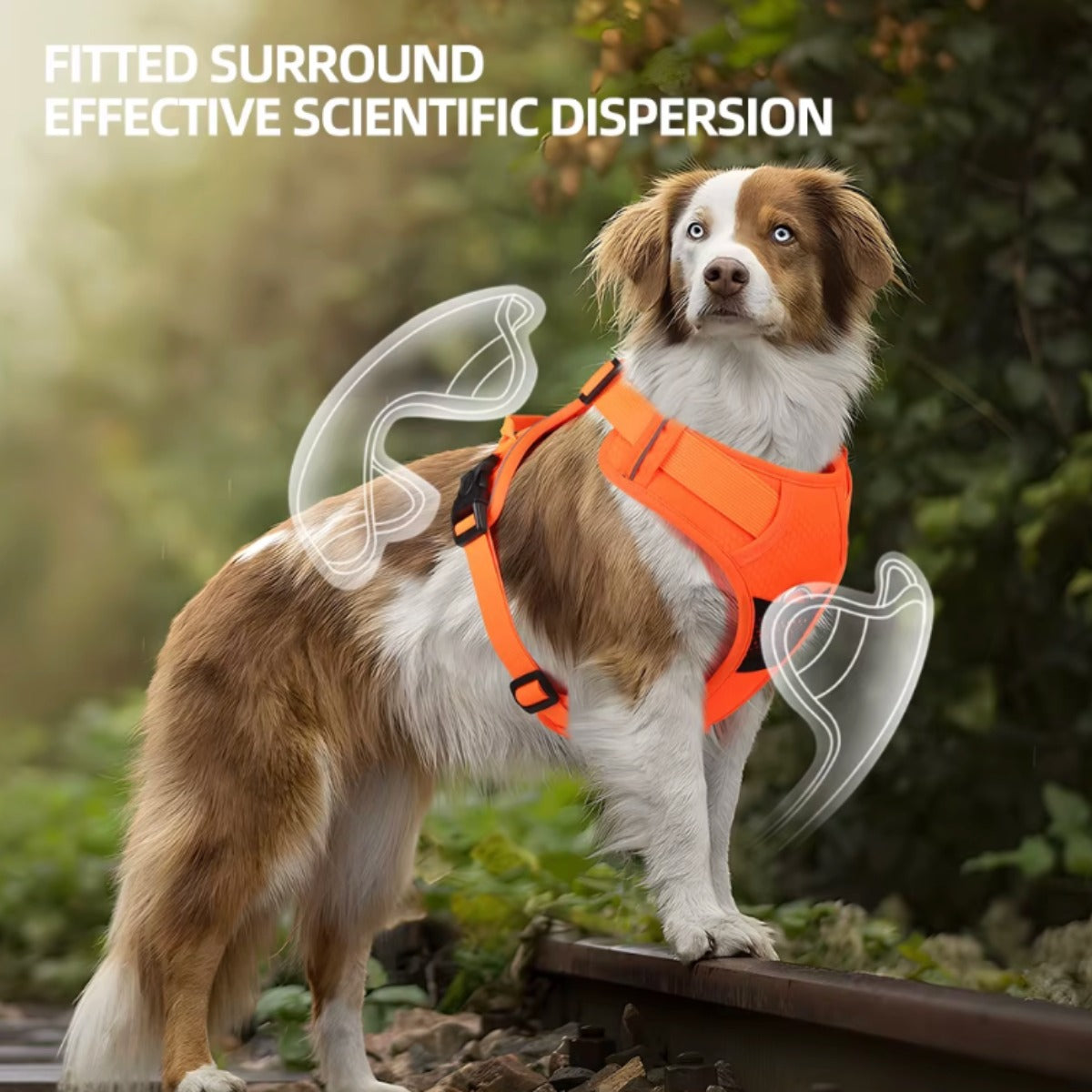 No-pull dog vest harness with front and back lead clips — My Petsworth