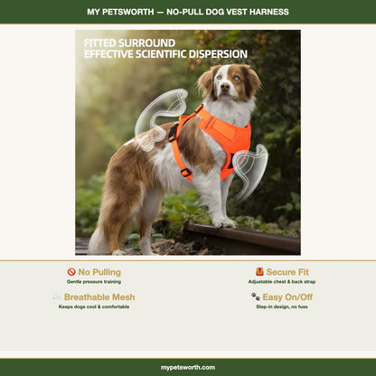No-pull dog vest harness features and size guide — My Petsworth