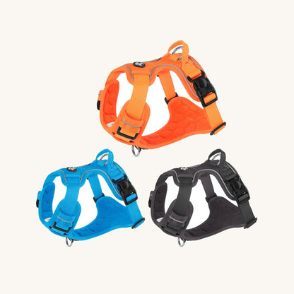 Quick-release buckle on the no-pull dog harness — My Petsworth