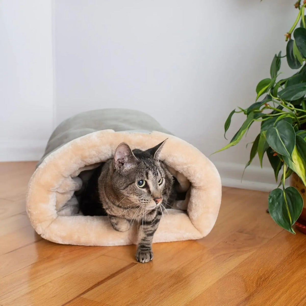 Plush lining inside the cat sleeping bag — My Petsworth