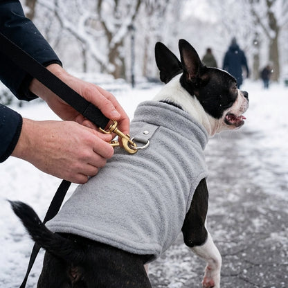 Owner clipping leash to D-ring on dog winter vest outdoors — My Petsworth